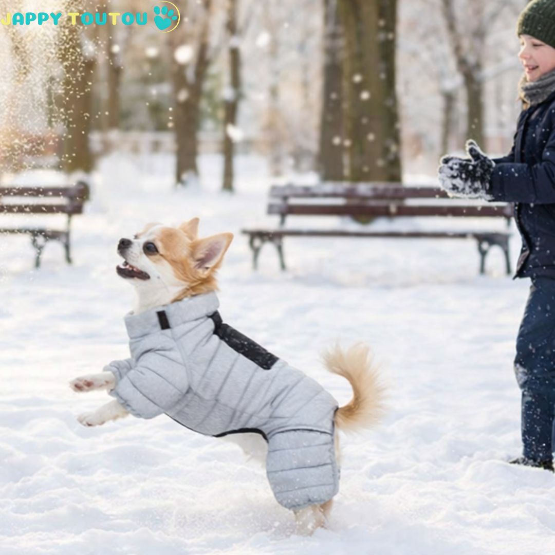 Manteau pour chien • Jappy3Polar™ même dans les jeu