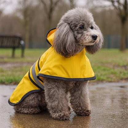 Les bienfaits d'un manteau pour chien au quotidien