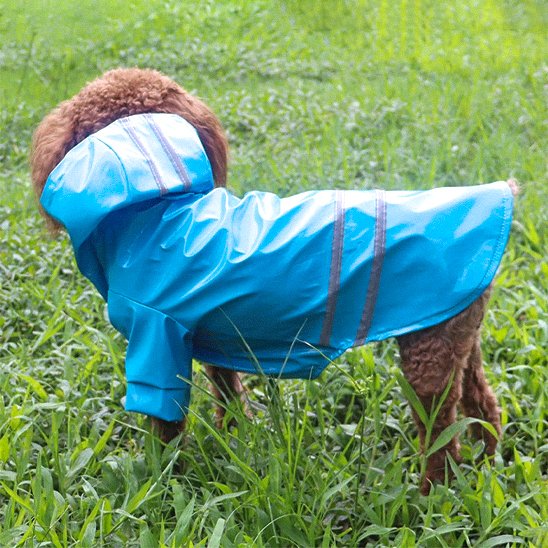 Manteau pour Chien | Imperméable RainChic™