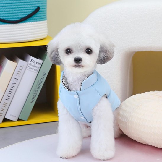 manteau chien | MiniPolar Gear™ conçu pour le confort