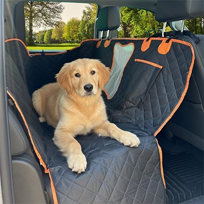 Protection chien voiture | Confort JappyArmor™ - Jappy Toutou