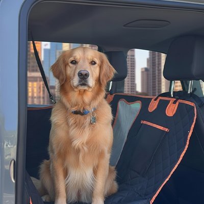 Protection chien voiture | Confort JappyArmor™ - Jappy Toutou