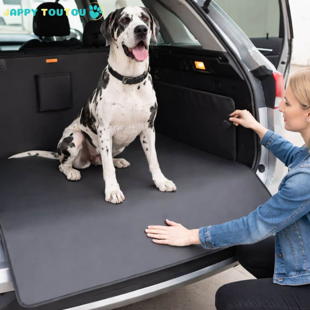 Protection chien voiture | JappyCarGuard™ - Jappy Toutou