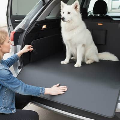 Protection chien voiture | JappyCarGuard™ - Jappy Toutou