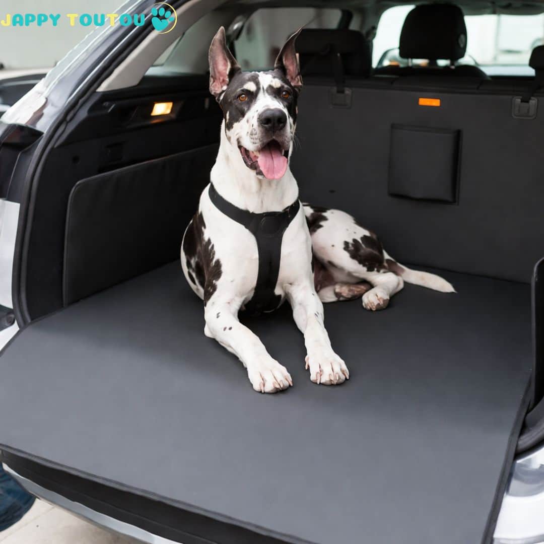 Protection chien voiture | JappyCarGuard™ - Jappy Toutou