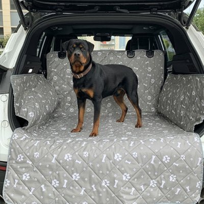 Protection chien voiture • JappyPatteProtect™ - Jappy Toutou