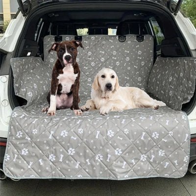 Protection chien voiture • JappyPatteProtect™ - Jappy Toutou