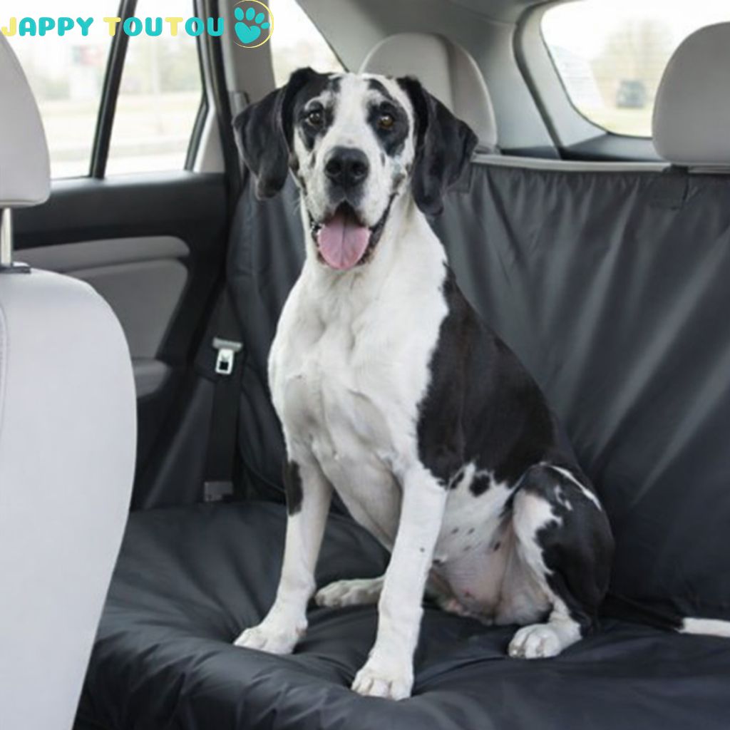Protection chien voiture | ToutouOnRoad™ - Jappy Toutou