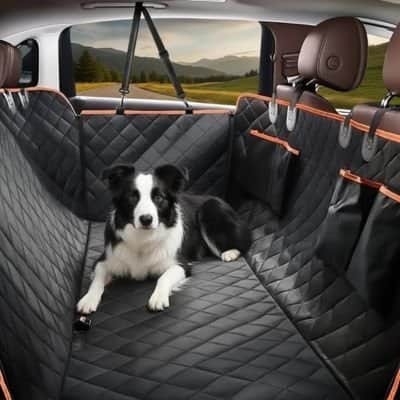 Protection voiture chien | JappyAutoPattes™ - Jappy Toutou