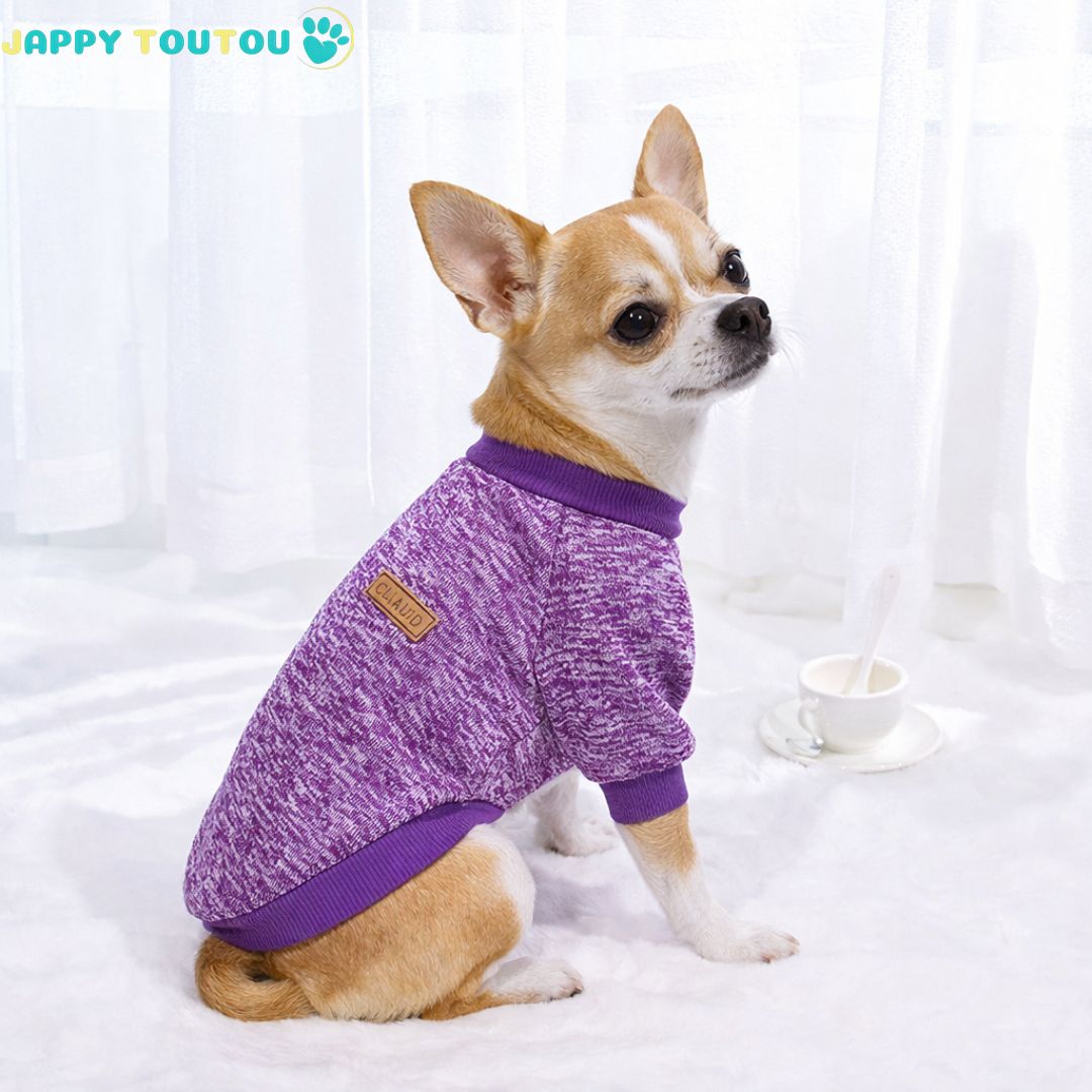 Pull chien | JappyOutdoor Classic - 3™ - Jappy Toutou