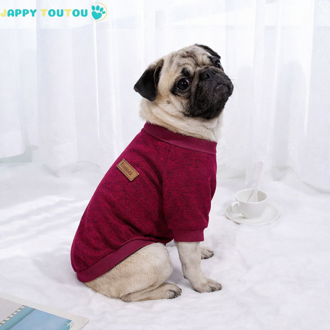 Pull chien | JappyOutdoor Classic - 3™ - Jappy Toutou