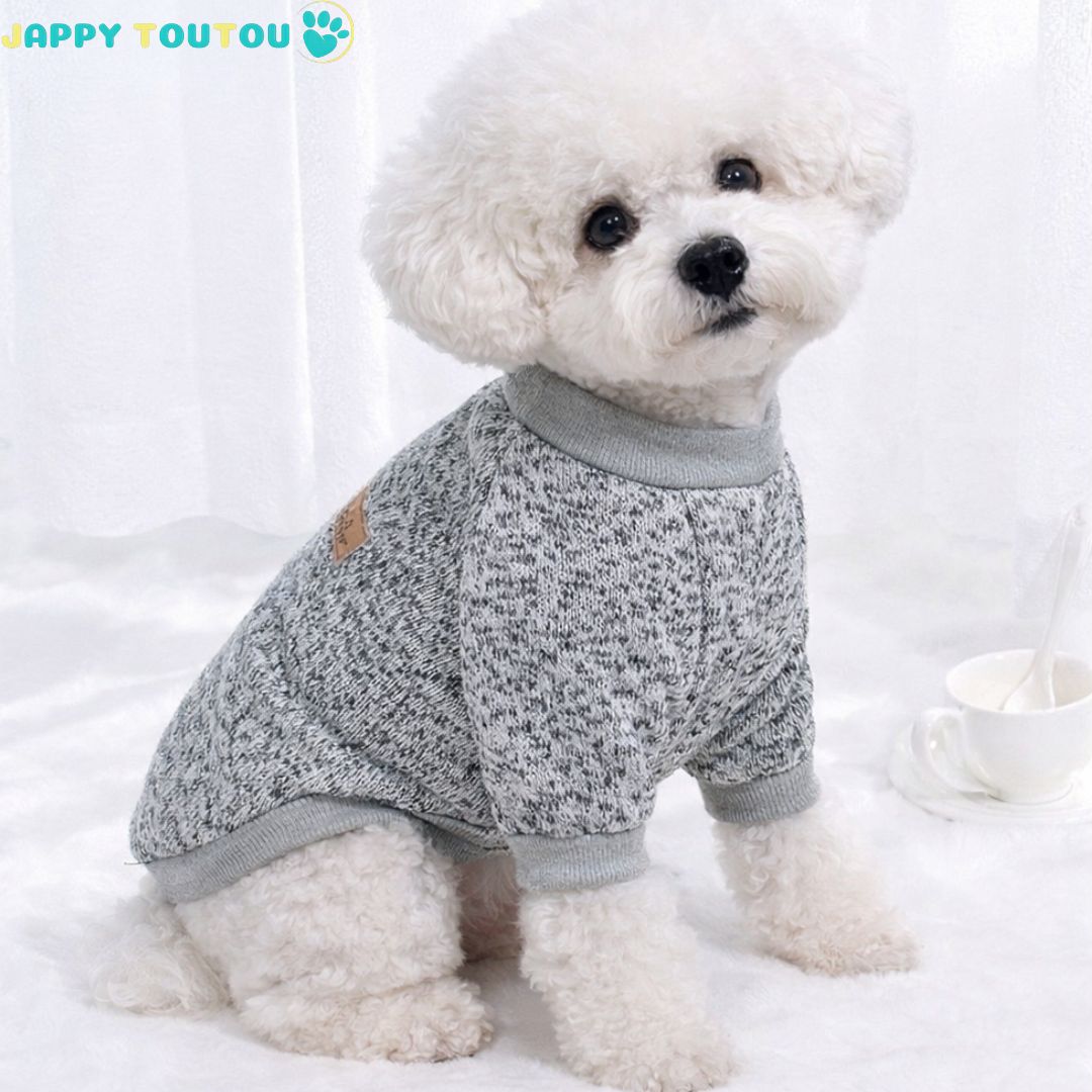 Pull chien | JappyOutdoor Classic - 3™ - Jappy Toutou
