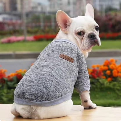 Pull chien | JappyOutdoor Classic - 3™ - Jappy Toutou