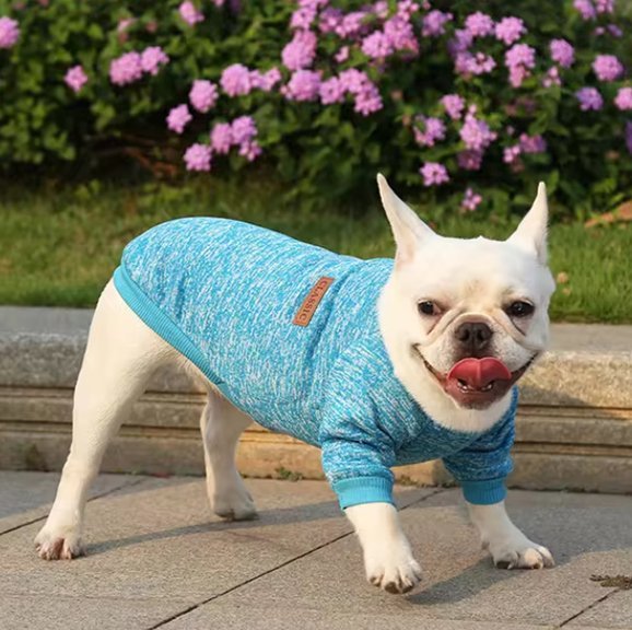 Pull chien | JappyOutdoor Classic™ - Jappy Toutou