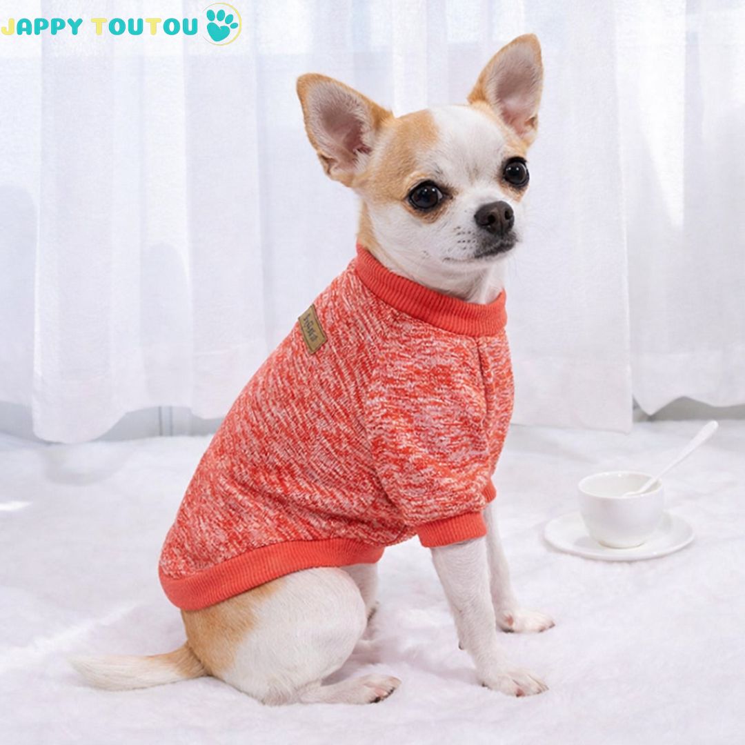 Pull chien | JappyOutdoor Classic2™ - Jappy Toutou