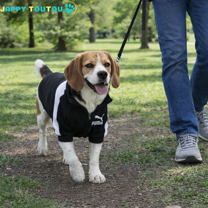 Pull chien | JappySportStyle™ Confort - Jappy Toutou