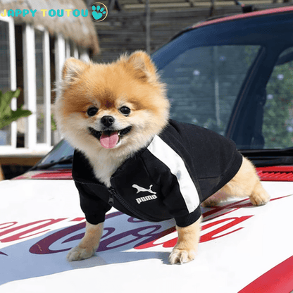 Pull chien | JappySportStyle™ Confort - Jappy Toutou