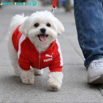 Pull chien | JappySportStyle™ Confort - Jappy Toutou