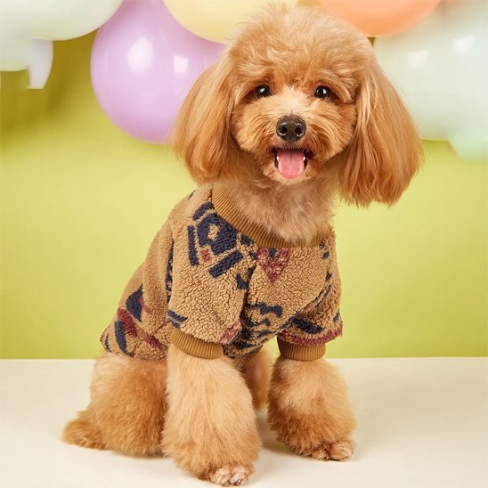 Pull pour chien : chaleur, confort et style - Jappy Toutou