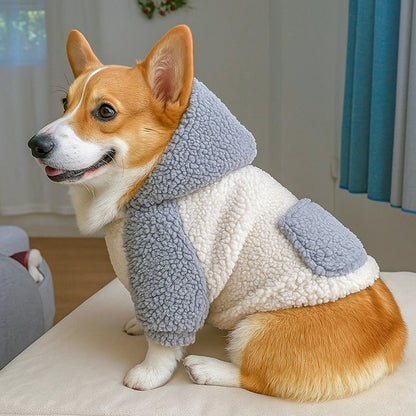 Pull pour chien | Confort & Style - Jappy Toutou