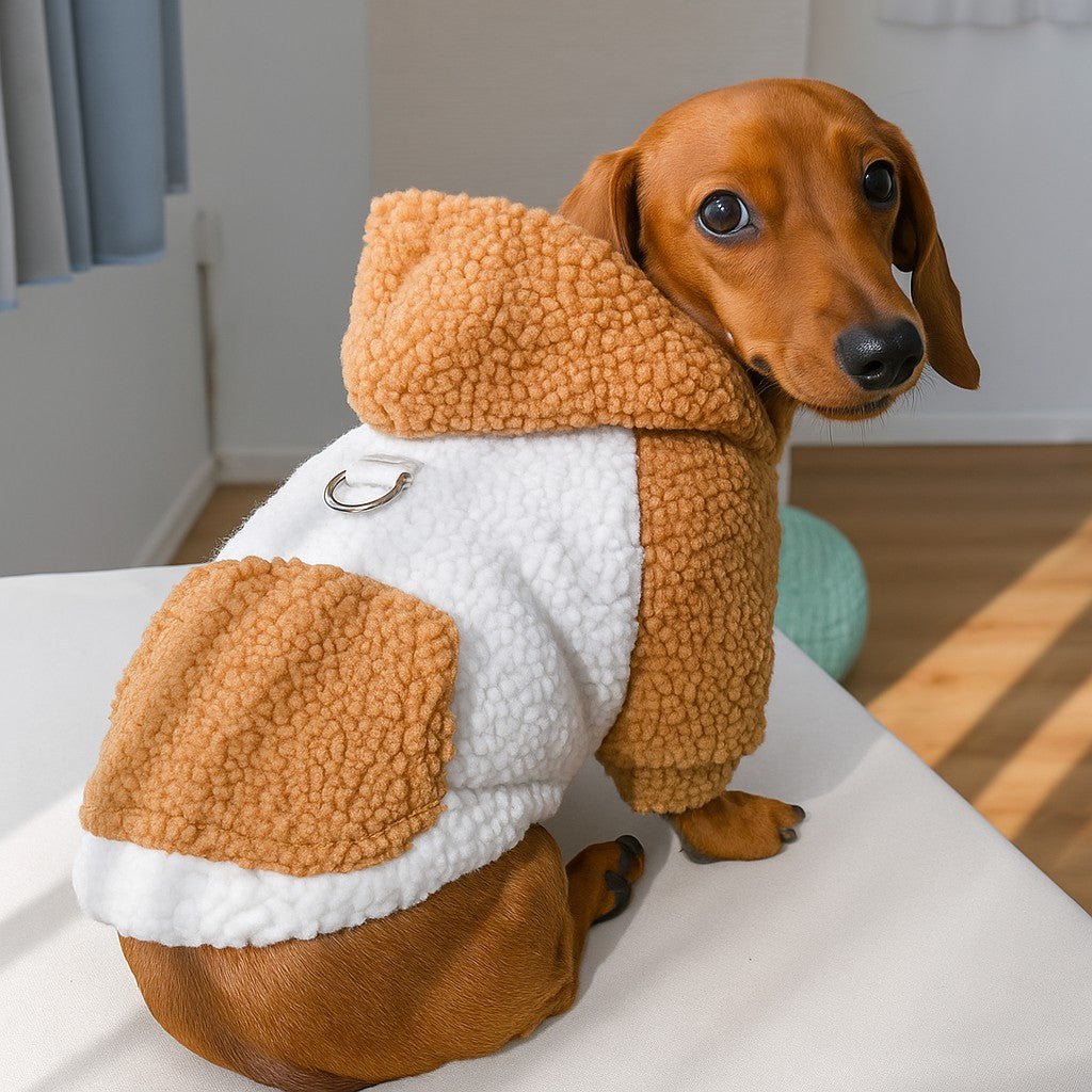 Pull pour chien | Confort & Style - Jappy Toutou