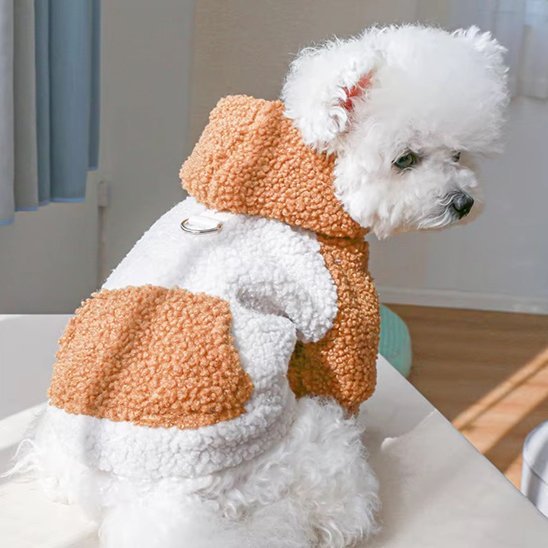 Pull pour chien | Confort & Style - Jappy Toutou