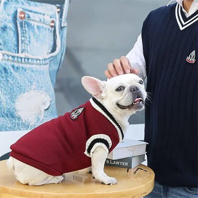 Pull pour Chien | Élégance JappyLook™ - Jappy Toutou