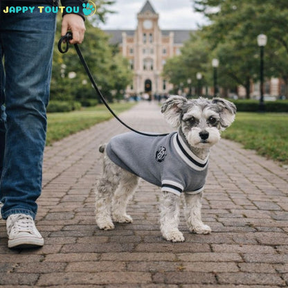 Pull pour Chien | Élégance JappyLook™ - Jappy Toutou