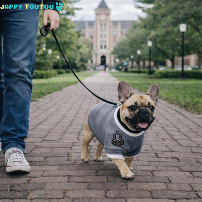 Pull pour Chien | Élégance JappyLook™ - Jappy Toutou
