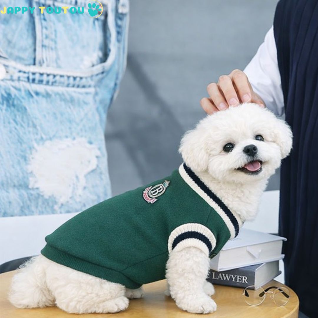 Pull pour Chien | Élégance JappyLook™ - Jappy Toutou