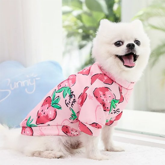 Pull pour chien | JappyDouillet3™ Fraise bonbon