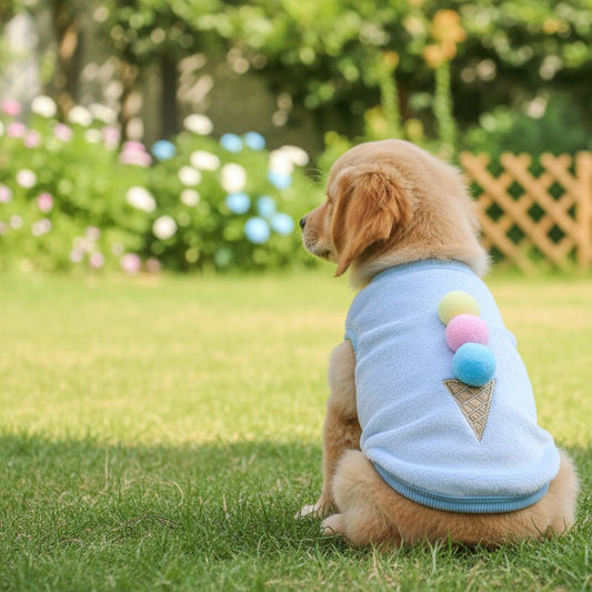 Pull pour Chien | Jappy3Cocoon™ - Jappy Toutou