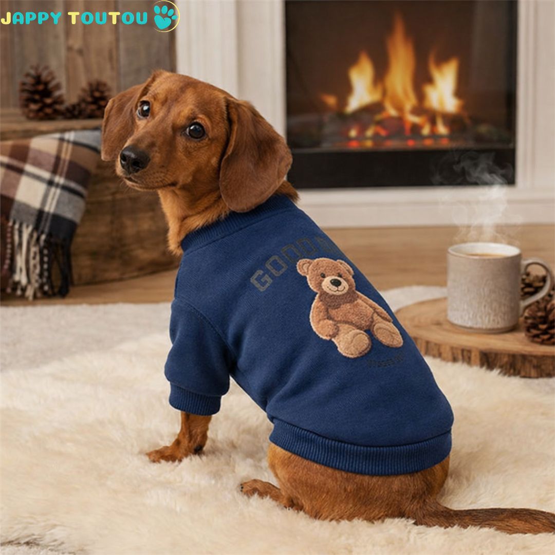 Pull pour Chien | JappyBearLook™ - Jappy Toutou