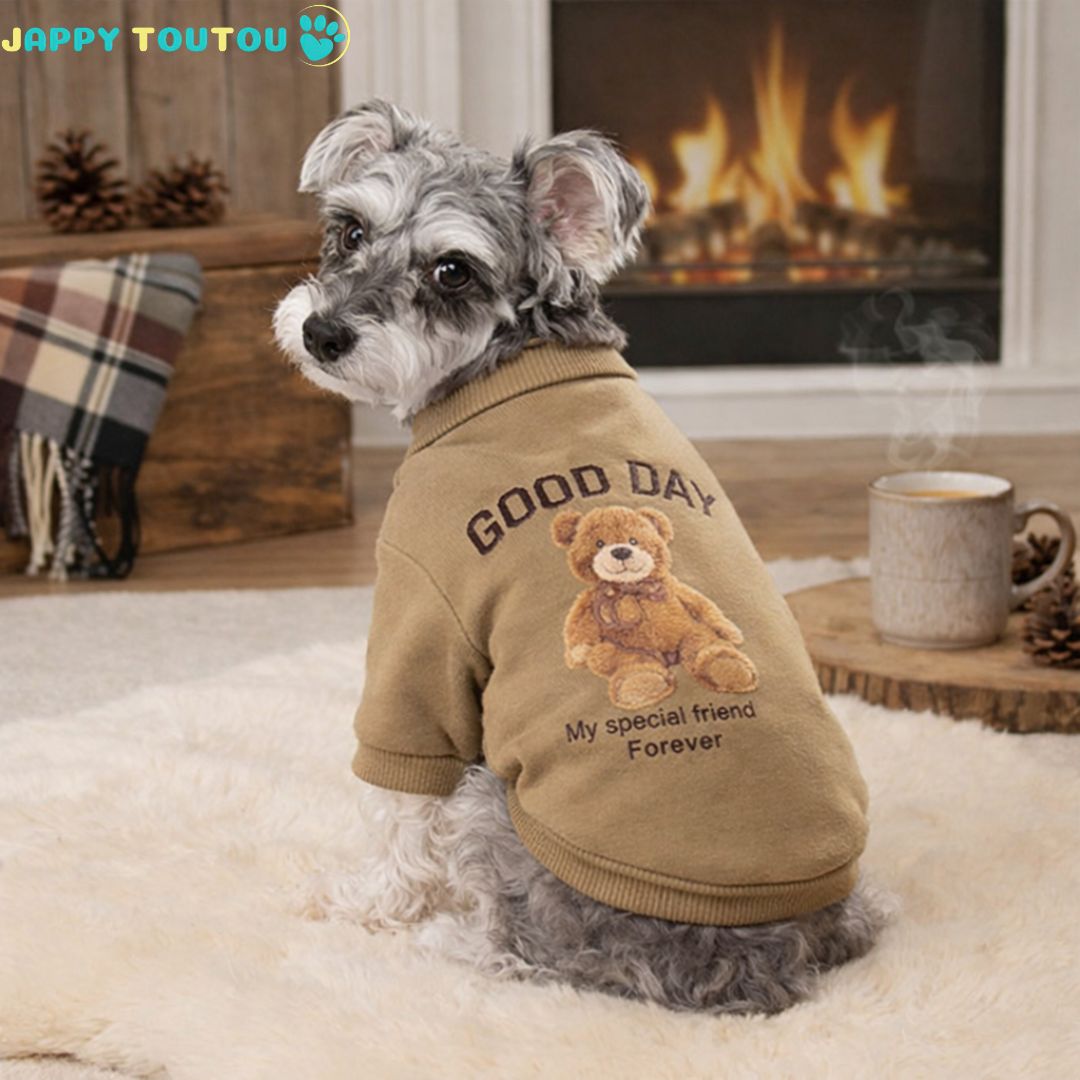 Pull pour Chien | JappyBearLook™ - Jappy Toutou