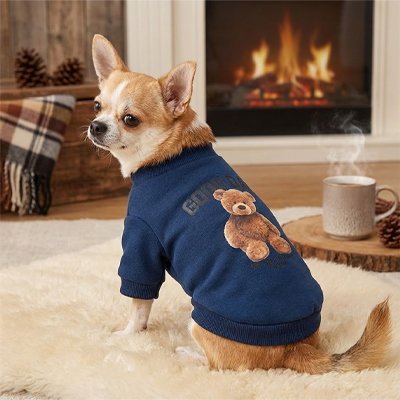 Pull pour Chien | JappyBearLook™ - Jappy Toutou