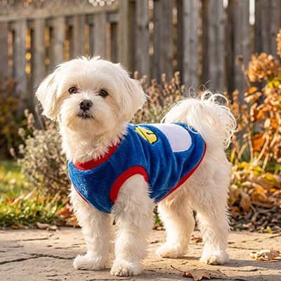 Pull pour Chien | JappyBlueCocoon™ , Douillet et Stylé - Jappy Toutou