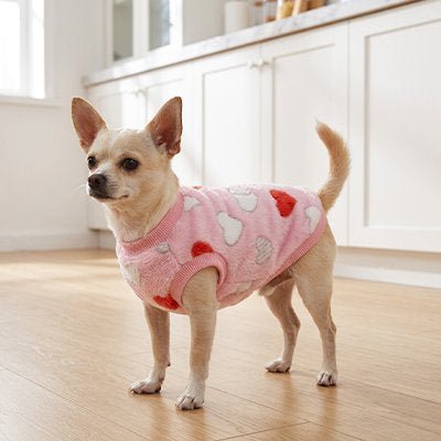 Pull pour Chien | JappyCocoon™ - Jappy Toutou