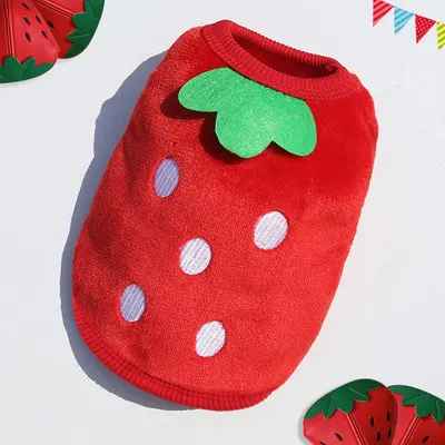 Pull pour Chien | JappyCocoon2™ - Jappy Toutou