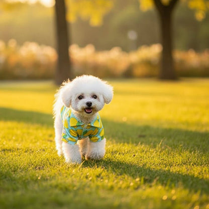 Pull pour chien | JappyDouillet™ - Jappy Toutou