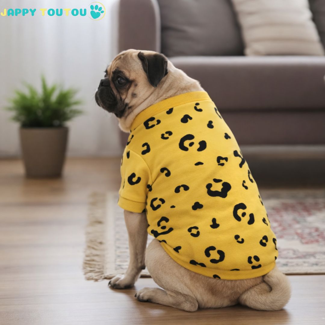 Pull pour chien | JappyDouillet - 3™ - Jappy Toutou