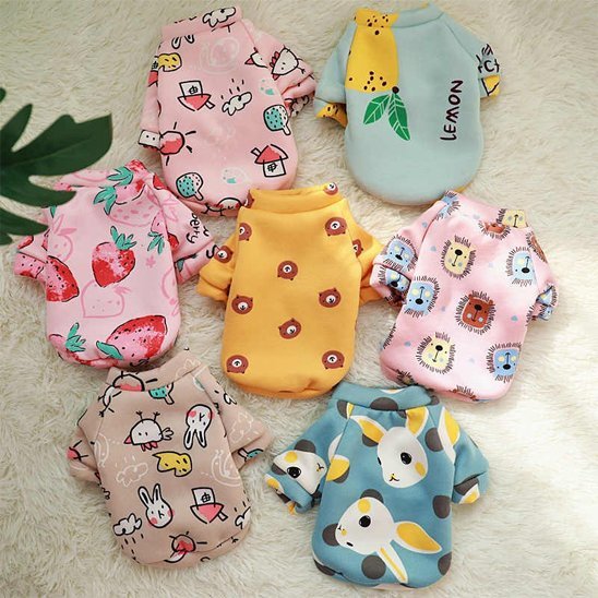 Pull pour chien | JappyDouillet - 3™ - Jappy Toutou