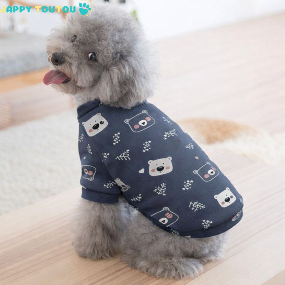 Pull pour chien | JappyDouillet™ - Jappy Toutou