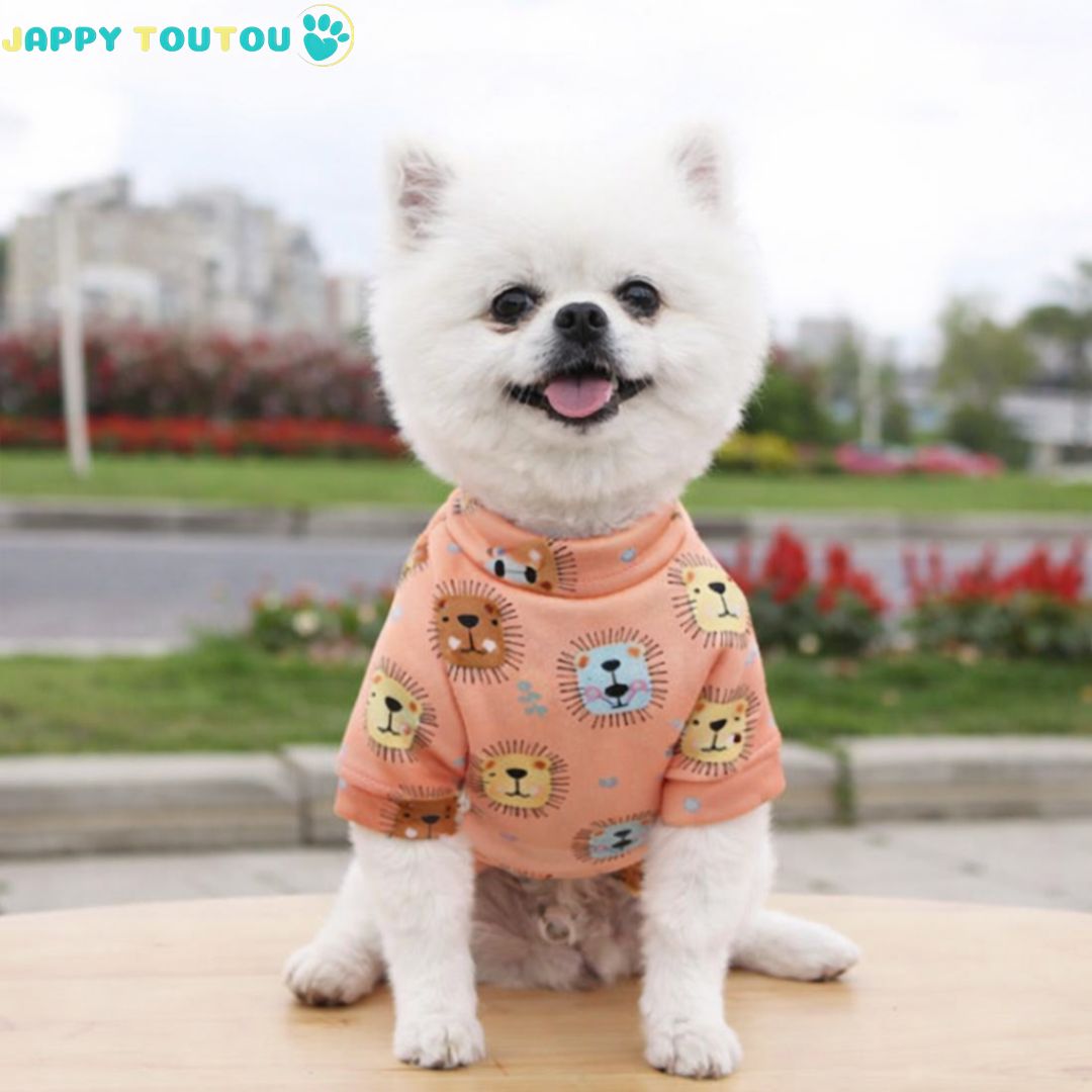 Pull pour chien | JappyDouillet2™ - Jappy Toutou
