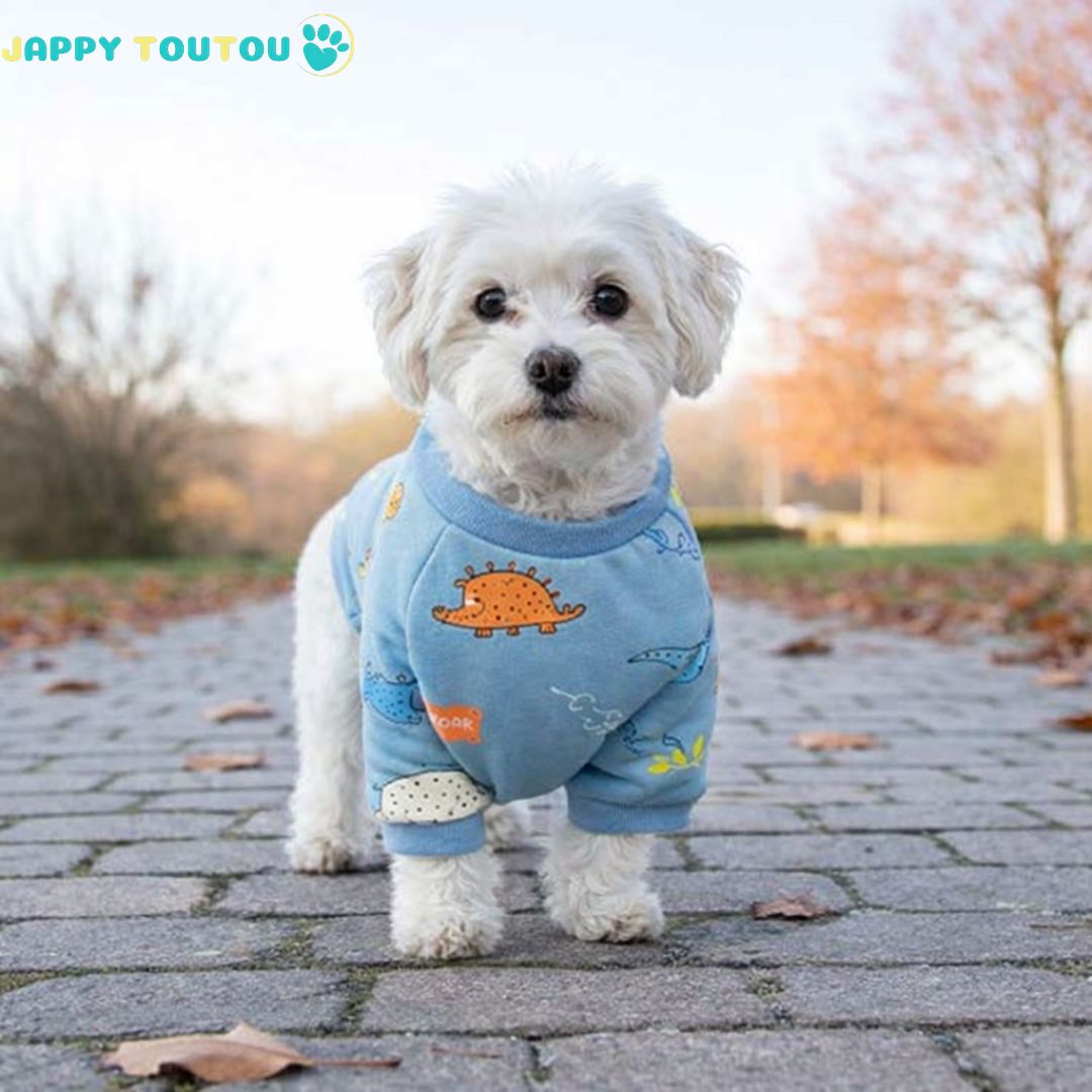 Pull pour chien | JappyDouillet2™ - Jappy Toutou