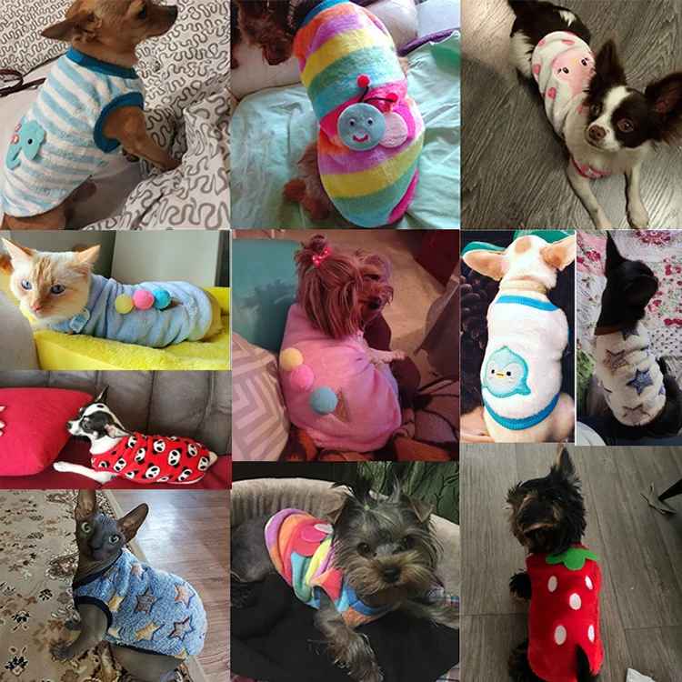 Pull pour Chien | JappyForCocoon™ - Jappy Toutou