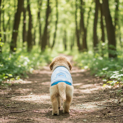 Pull pour Chien | JappyForCocoon™ - Jappy Toutou