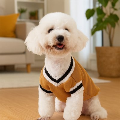 Pull pour Chien • JappyLook™ : Coupe ajustée
