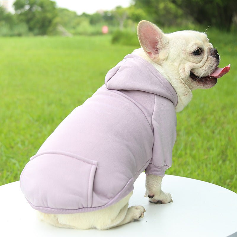 Pull pour chien | JappyMood - 2™ - Jappy Toutou