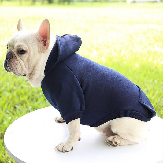 Pull pour chien | JappyMood - 2™ - Jappy Toutou
