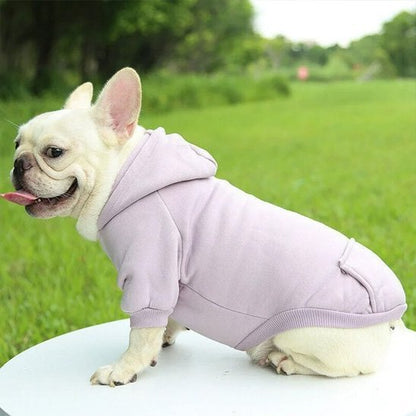 Pull pour chien | JappyMood - 2™ - Jappy Toutou